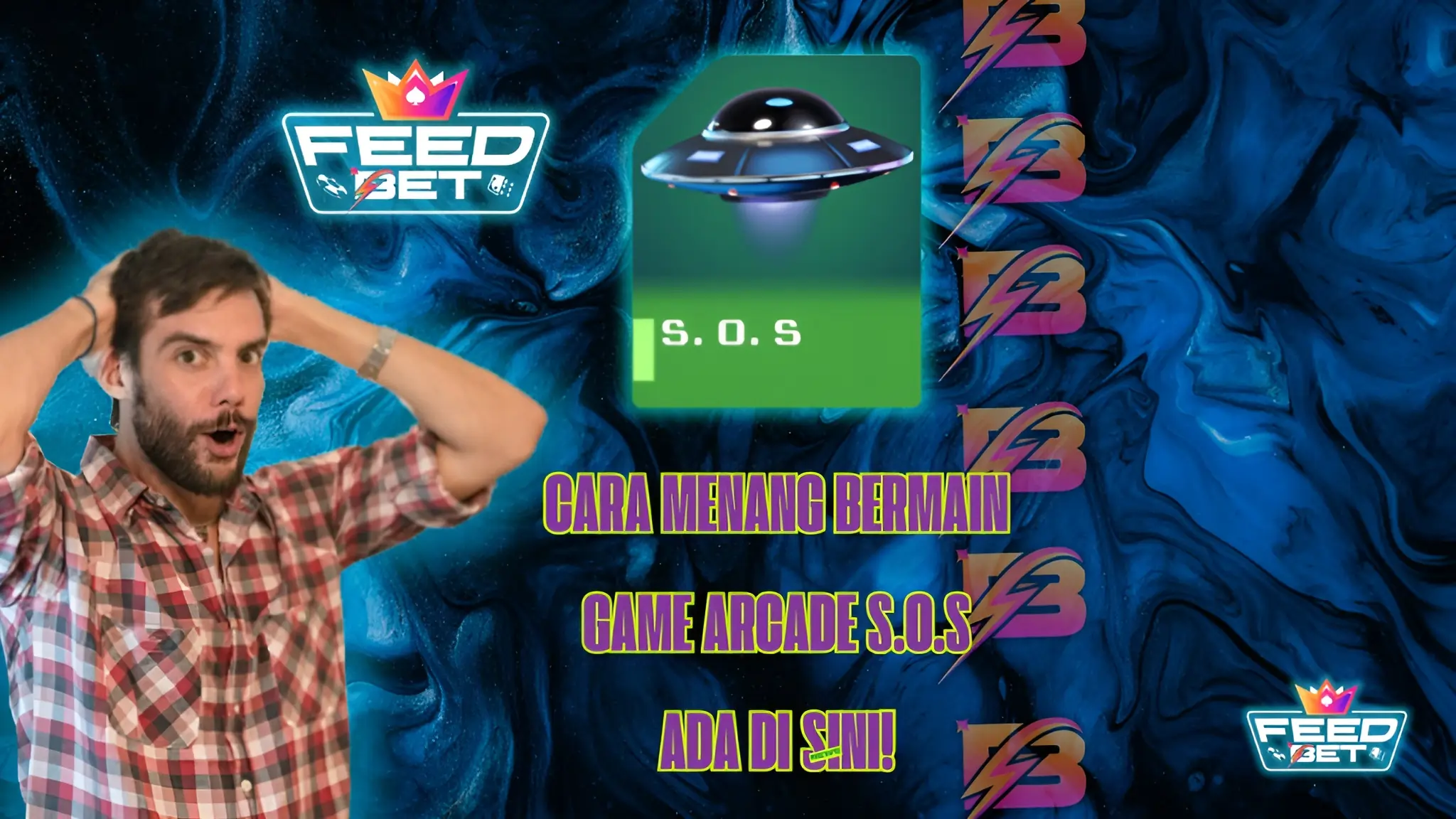 feedbet